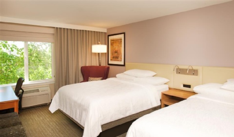 Hilton Garden Inn Seattle/Renton , WA 98057 near Seattle-tacoma International Airport View Point 13