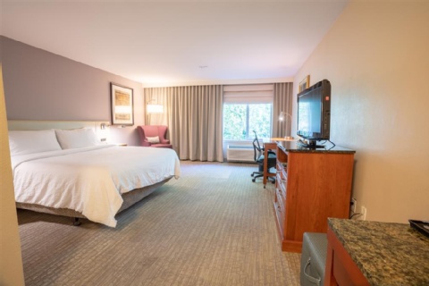 Hilton Garden Inn Seattle/Renton , WA 98057 near Seattle-tacoma International Airport View Point 17