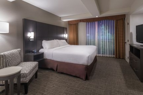 Holiday Inn and Suites Phoenix Airport North , AZ 85008 near Sky Harbor International Airport View Point 21