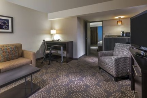 Holiday Inn and Suites Phoenix Airport North , AZ 85008 near Sky Harbor International Airport View Point 22