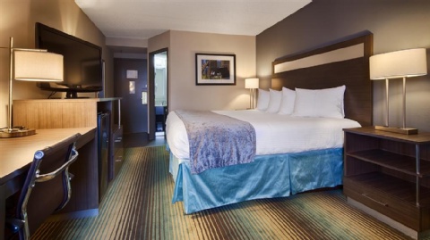 Best Western O'Hare North , IL 60007-1624 near Ohare International Airport View Point 5