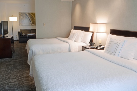 SpringHill Suites by Marriott Dulles Airport , VA 20166 near Washington Dulles International Airport View Point 18