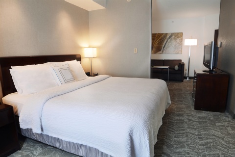 SpringHill Suites by Marriott Dulles Airport , VA 20166 near Washington Dulles International Airport View Point 19