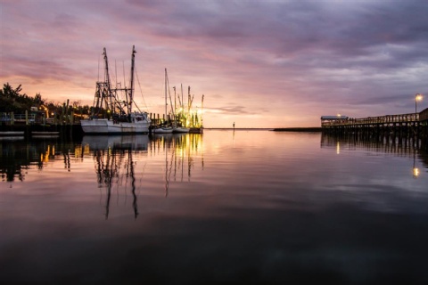 Cambria Hotel Mount Pleasant - Charleston , SC 29464 near Charleston Cruise Port View Point 6