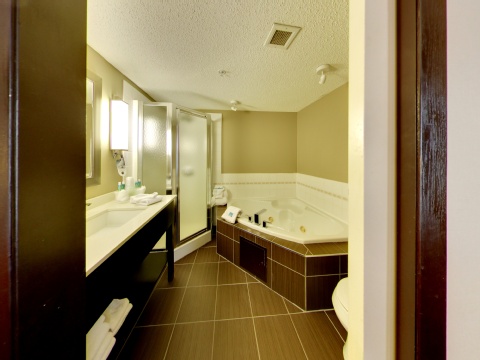 Holiday Inn Express Hotel & Suites - Edmonton International Airport, an IHG Hotel , AB T9E 8E2 near Edmonton International Airport View Point 111