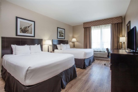 Radisson Hotel Edmonton Airport , AB T9E 8A5 near Edmonton International Airport View Point 9