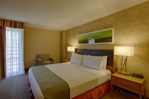 Holiday Inn Airport San Antonio , TX 78216 near San Antonio International Airport View Point 33