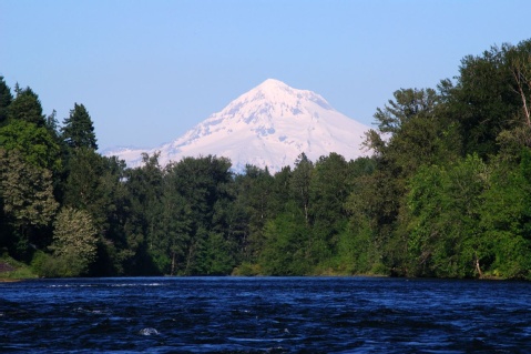 Holiday Inn Portland-Airport I-205, an IHG Hotel , OR 97220 1382 near Portland International Airport View Point 8