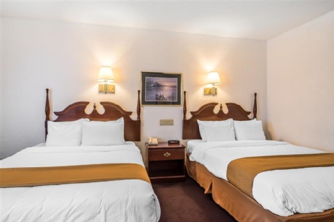 Quality Inn & Suites Albany Airport , NY 12110-2505 near Albany International Airport View Point 13