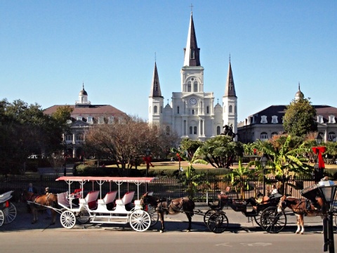 Comfort Inn & Suites , LA 70062 near Louis Armstrong New Orleans International Airport  View Point 13