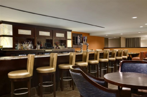 Hilton New York JFK Airport , NY 11436 near John F Kennedy Intl Airport View Point 10