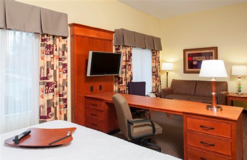 Hampton Inn & Suites Grand Rapids-Airport 28th St , MI 49512 near Gerald R. Ford International Airport View Point 13