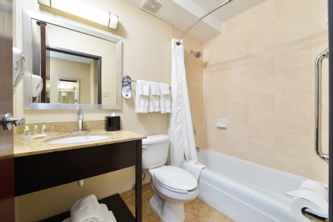 Holiday Inn Mount Prospect - Chicago , IL 60056 near Ohare International Airport View Point 5