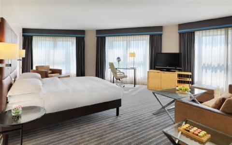 Hyatt Regency Paris - Charles de Gaulle ,  95912 near Charles de Gaulle Airport View Point 25