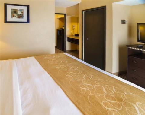 Comfort Suites DFW Airport , TX 75063 near Dallas-fort Worth International Airport View Point 23