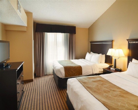 Comfort Suites DFW Airport , TX 75063 near Dallas-fort Worth International Airport View Point 25