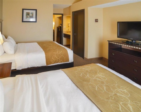 Comfort Suites DFW Airport , TX 75063 near Dallas-fort Worth International Airport View Point 26