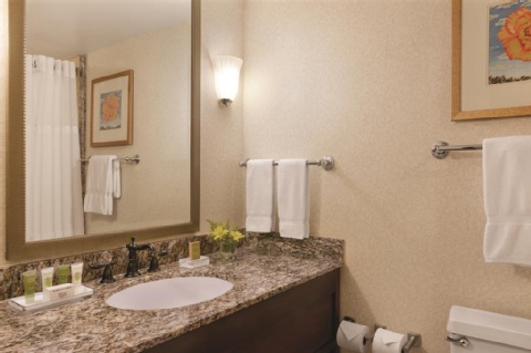 Hilton DFW Lakes Executive Conference Center , TX 76051 near Dallas-fort Worth International Airport View Point 37