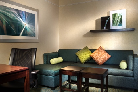 SpringHill Suites Dallas DFW Airport North/Grapevine , TX 76051 near Dallas-fort Worth International Airport View Point 14