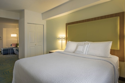 SpringHill Suites by Marriott Charlotte Airport , NC 28208 near Charlotte/douglas International Airport View Point 17