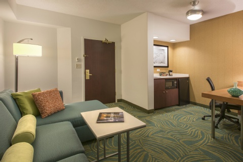 SpringHill Suites by Marriott Charlotte Airport , NC 28208 near Charlotte/douglas International Airport View Point 18