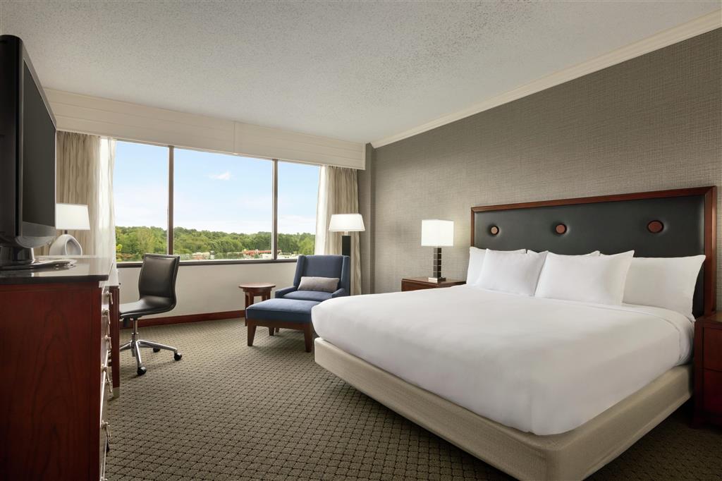 Hilton Charlotte Executive Park , NC 28217 near Charlotte/douglas International Airport View Point 36