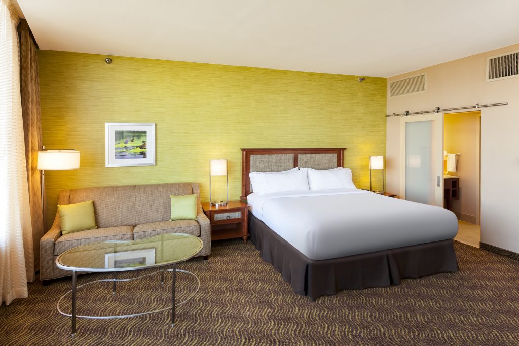 Holiday Inn Austin -Town Lake, an IHG Hotel , TX 78701 near Austin-bergstrom International Airport View Point 23