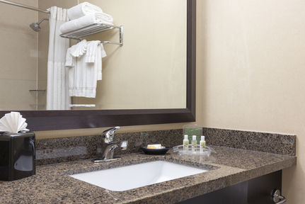 Holiday Inn Chicago - Elk Grove, an IHG Hotel , IL 60007 near Ohare International Airport View Point 2