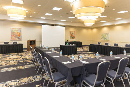 Holiday Inn Chicago - Elk Grove, an IHG Hotel , IL 60007 near Ohare International Airport View Point 7