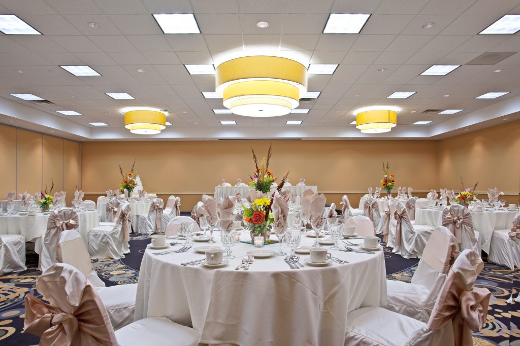 Holiday Inn Chicago - Elk Grove, an IHG Hotel , IL 60007 near Ohare International Airport View Point 11