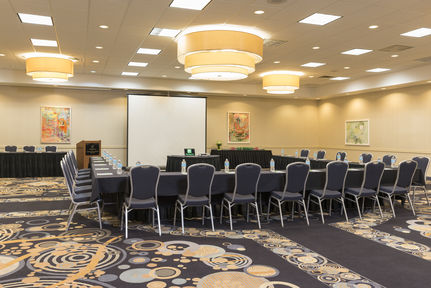 Holiday Inn Chicago - Elk Grove, an IHG Hotel , IL 60007 near Ohare International Airport View Point 12