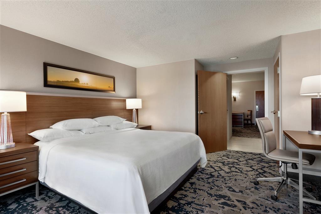 Embassy Suites Dallas - DFW Airport North , TX 76051 near Dallas-fort Worth International Airport View Point 33