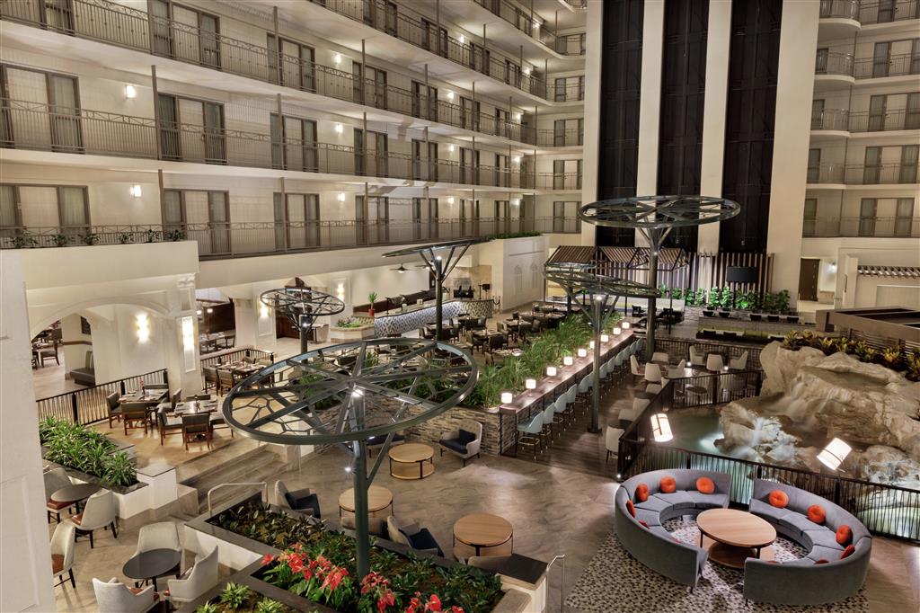 Embassy Suites by Hilton Dallas DFW Airport South , TX 75062 near Dallas-fort Worth International Airport View Point 11