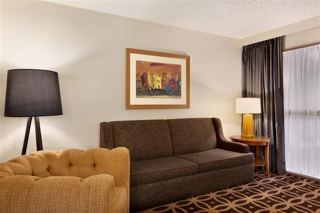 Embassy Suites by Hilton Dallas DFW Airport South , TX 75062 near Dallas-fort Worth International Airport View Point 26