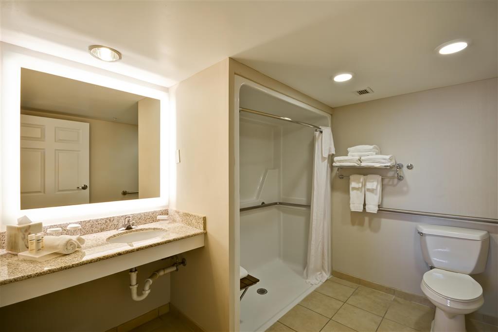 Homewood Suites Dulles-International Airport , VA 20171 near Washington Dulles International Airport View Point 30