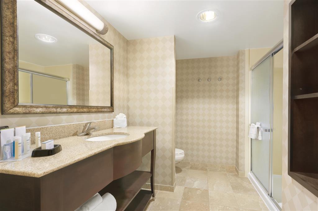 Hampton Inn & Suites Herndon-Reston , VA 20170 near Washington Dulles International Airport View Point 14