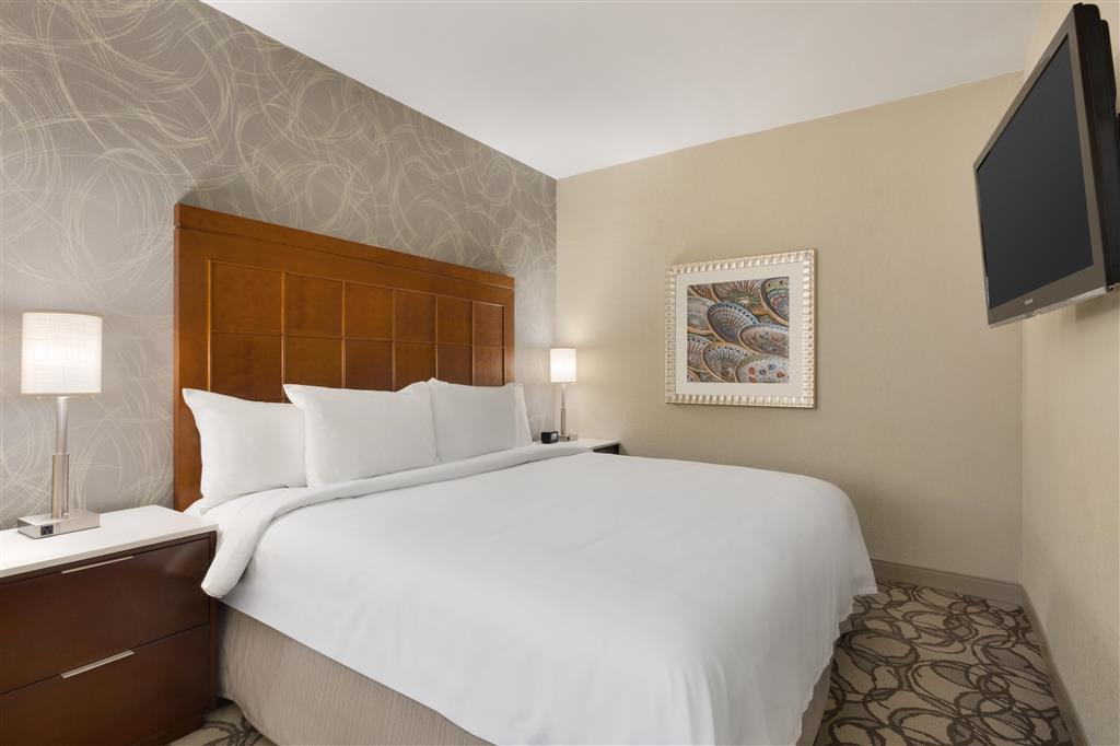 Embassy Suites by Hilton San Antonio Airport , TX 78216 near San Antonio International Airport View Point 28