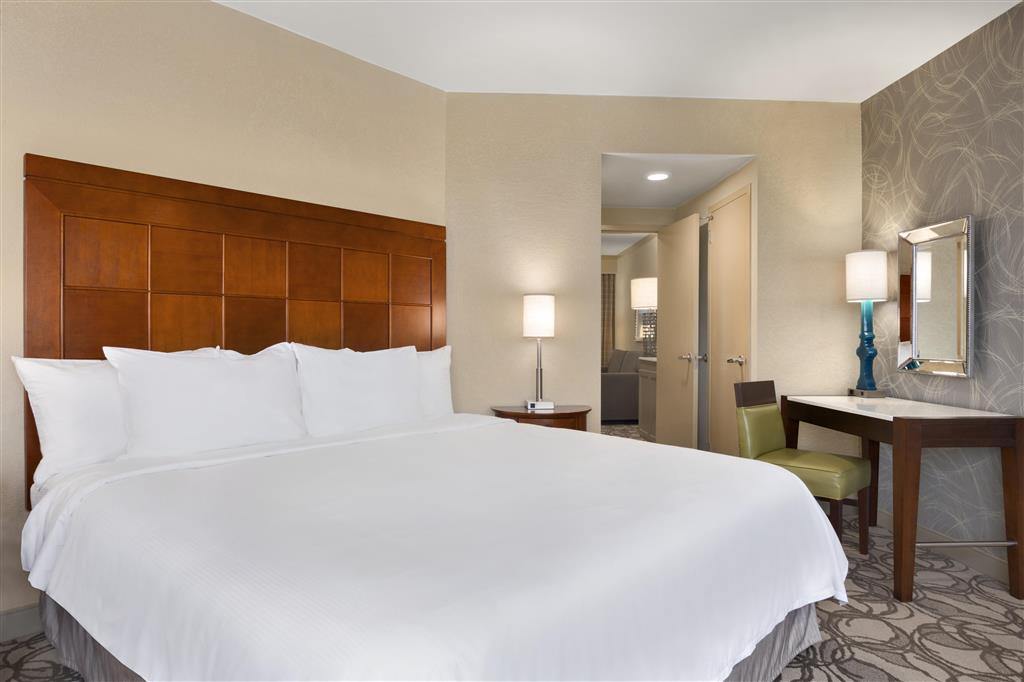 Embassy Suites by Hilton San Antonio Airport , TX 78216 near San Antonio International Airport View Point 43