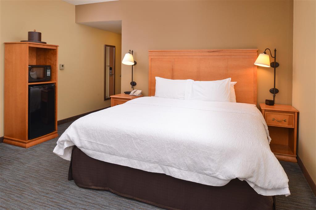 Hampton Inn & Suites Tampa-East/Casino/Fairgrounds , FL 33584 near Tampa International Airport View Point 13