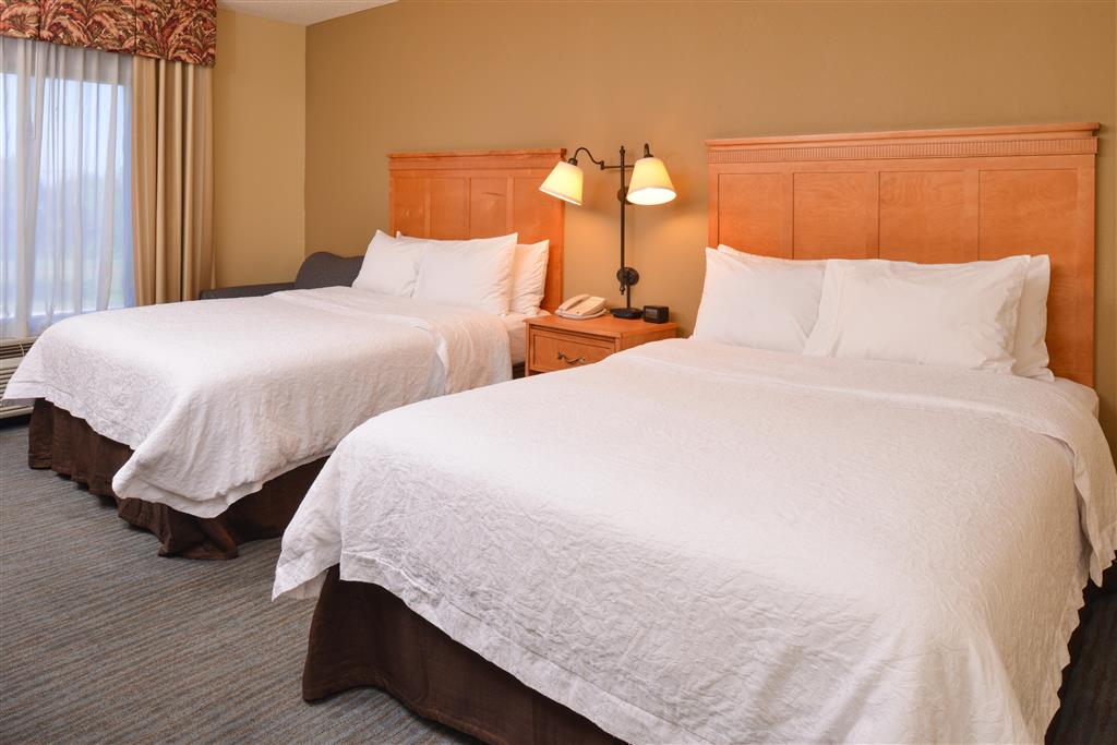 Hampton Inn & Suites Tampa-East/Casino/Fairgrounds , FL 33584 near Tampa International Airport View Point 18