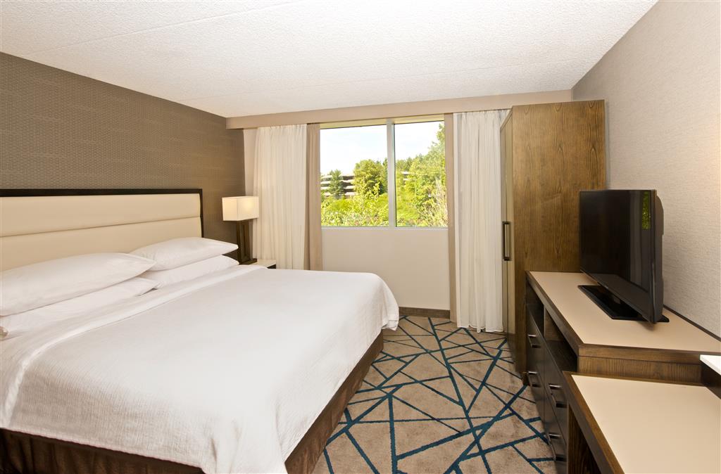 Embassy Suites by Hilton Seattle Bellevue , WA 98008 near Seattle Cruise Port View Point 45