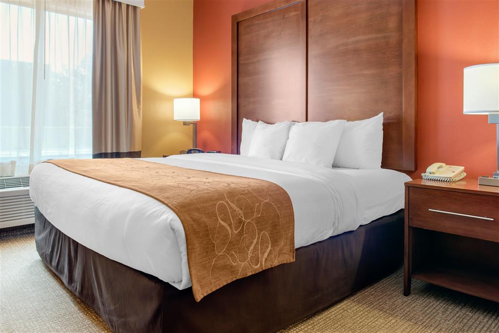 Comfort Suites Louisville Airport , KY 40213 near Louisville International Airport (standiford Field) View Point 19