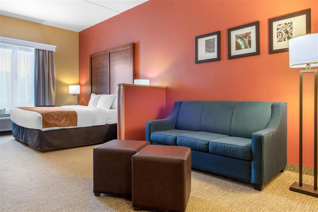 Comfort Suites Louisville Airport , KY 40213 near Louisville International Airport (standiford Field) View Point 20