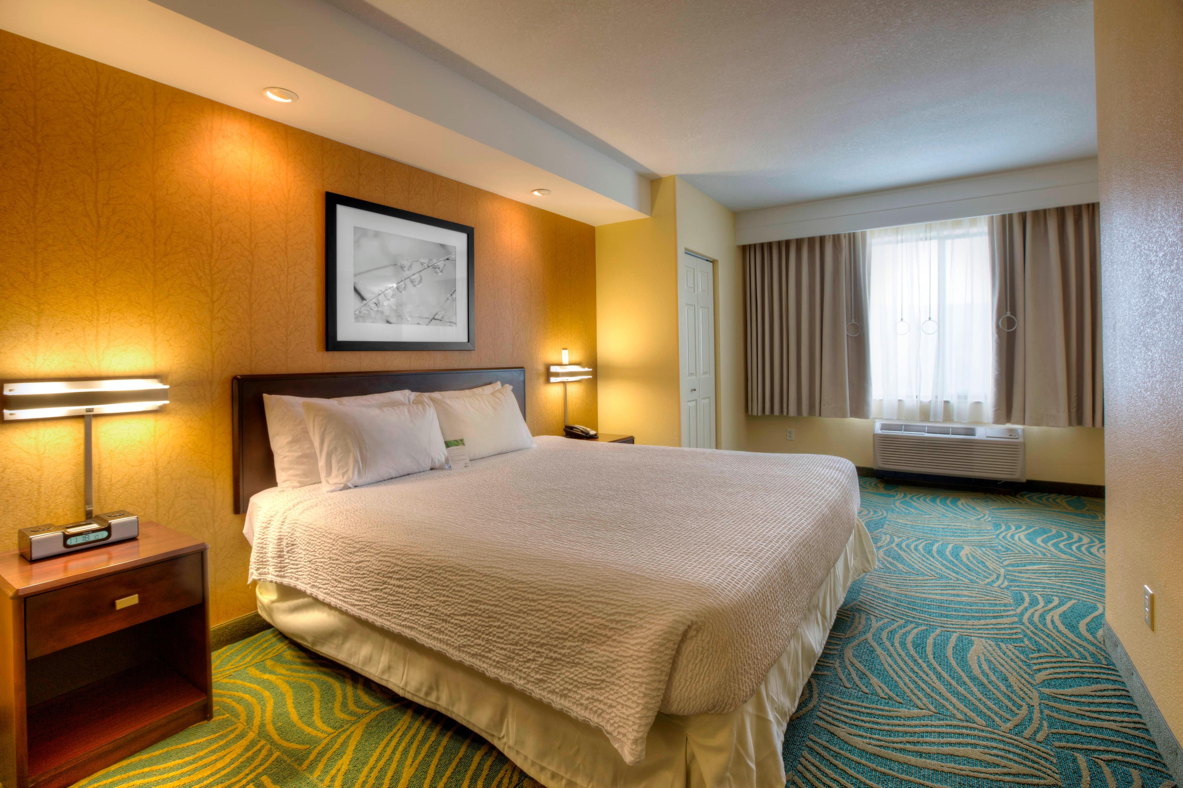 SpringHill Suites by Marriott - Tampa Brandon , FL 33619 near Tampa International Airport View Point 10