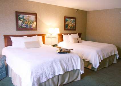 Hampton Inn Detroit/Belleville-Airport Area , Michigan 48111 near Detroit Metropolitan Wayne County Airport View Point 4