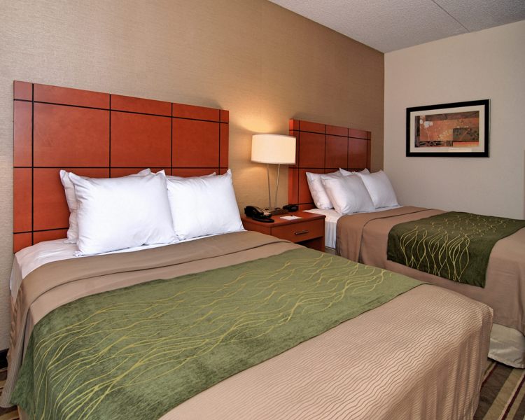 Comfort Inn Metro Airport Romulus , MI 48174 near Detroit Metropolitan Wayne County Airport View Point 9