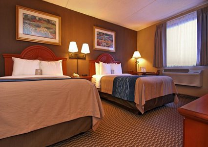 Comfort Inn University , NY 14226 near Buffalo Niagara International Airport View Point 5