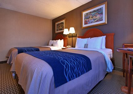 Comfort Inn University , NY 14226 near Buffalo Niagara International Airport View Point 4