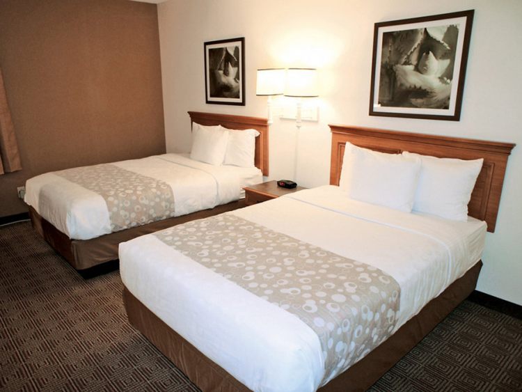 Quality Inn and Suites RDU , NC 27560 near Raleigh-durham International Airport View Point 3