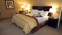 Doubletree Hotel Pittsburgh Airport , PA 15108 near Pittsburgh International Airport View Point 8